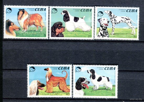 Куба - 1994г. - Собаки. Национальная ассоциация собаководов - полная серия, MNH [Mi 3771-3775] - 5 марок