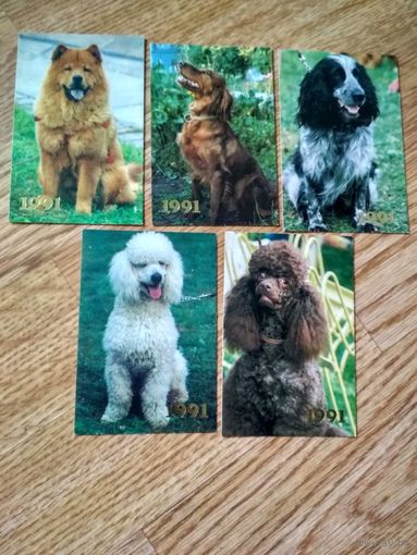 Календари. 1991. Собаки (1)