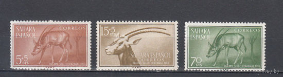Фауна. Рогатые животные. Испанская Сахара. 1955. 3 марки. Michel N 154-156 (2,8 е)