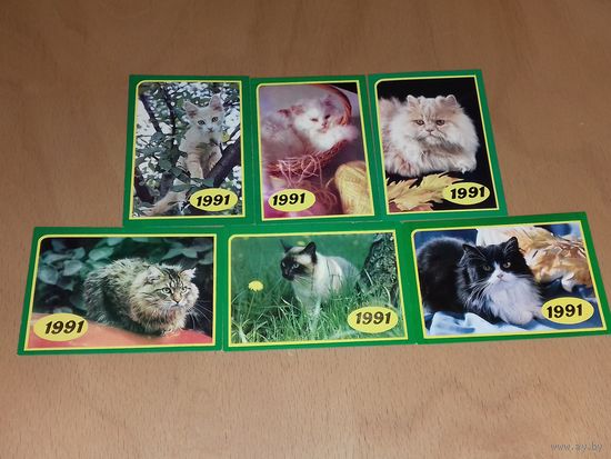 Календарики 1991 Кошки. Коты. 6 шт. одним лотом