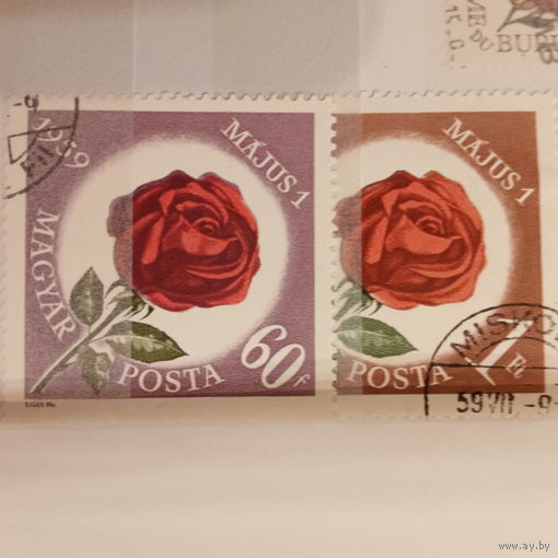 Венгрия 1959. Флора. Розы
