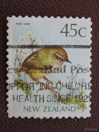 Новая Зеландия.  Птицы.