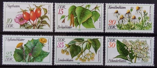 Цветы, Флора Германия (ГДР), 1978 год, 6 марок **