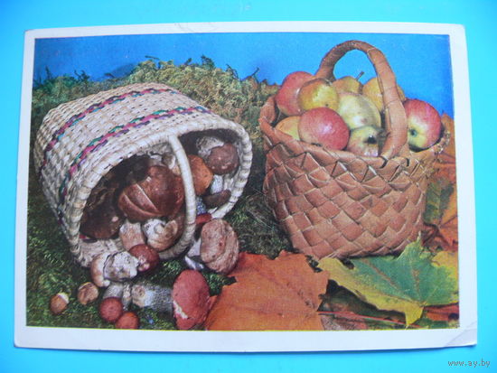 Тужиков В.(фото), Яблоки и грибы, 1979, подписана.