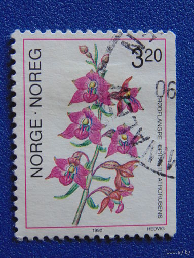 Норвегия 1990 г. Цветы.