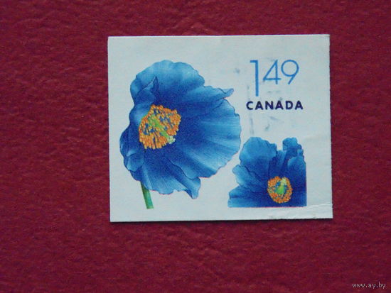 Канада 2010г. Цветы.