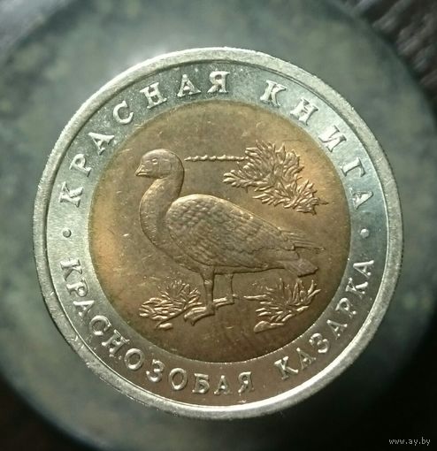 10 рублей 1992 год Краснозобая казарка. Красная книга.распродажа коллекции