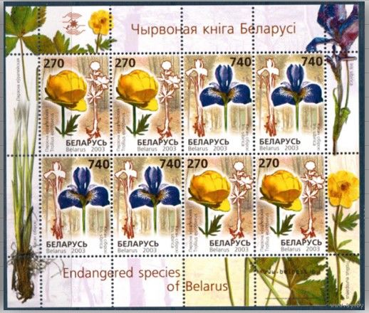 2003. 507-508. МЛ Редкие виды цветов**