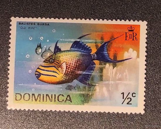 Доминика: 1м морская рыба