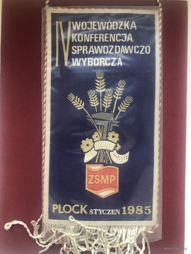 IV Отчетно-выборная конференция Союза социалистической польской молодёжи Полоцкого воеводства 1985 год