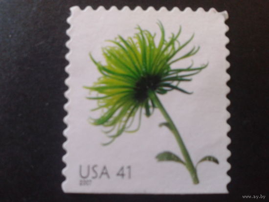США 2007 стандарт, цветок