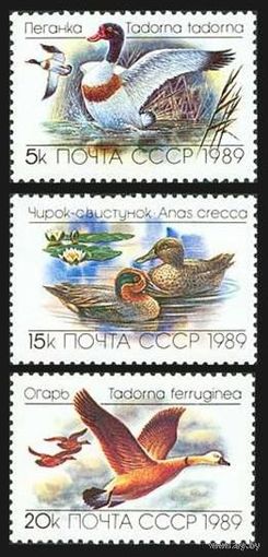 Фауна Утки СССР 1989 год (6084-6086) 3 марки ** (С)
