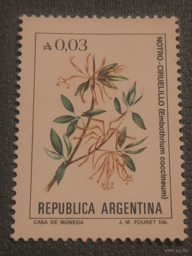 Аргентина. Флора.  Embothrium Coccineum