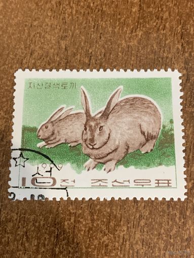 КНДР 1969. Кролики. Марка из серии