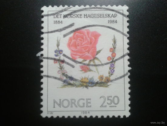 Норвегия 1984 роза