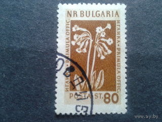 Болгария 1954 цветы