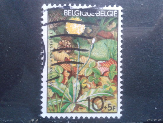 Бельгия 1974 Флора, концевая марка серии