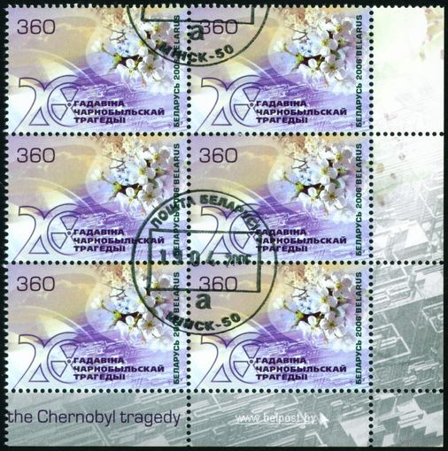 20 лет Чернобыльской трагедии Беларусь 2006 год (644) сцепка из 6-ти марок