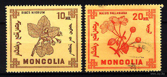 1968 Монголия. Ягоды