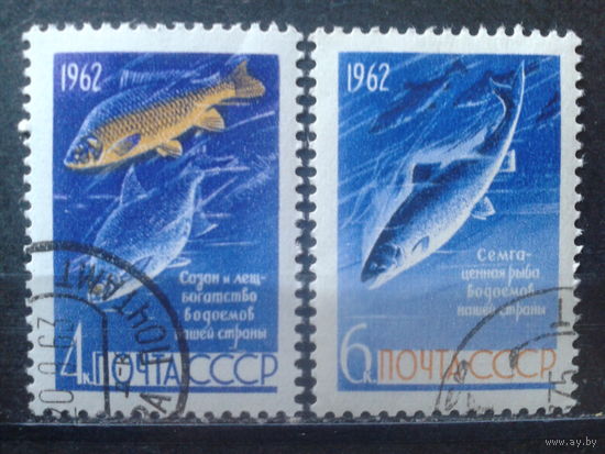 1962 Рыбы Полная серия с клеем