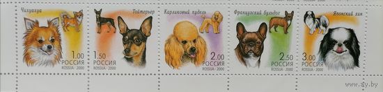 Россия, 2000, Фауна. Декоративные породы собак. сцепка 5м. **MNH