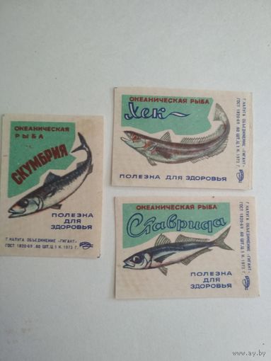 Спичечные этикетки ф.Гигант. Океаническая рыба. 1973 год