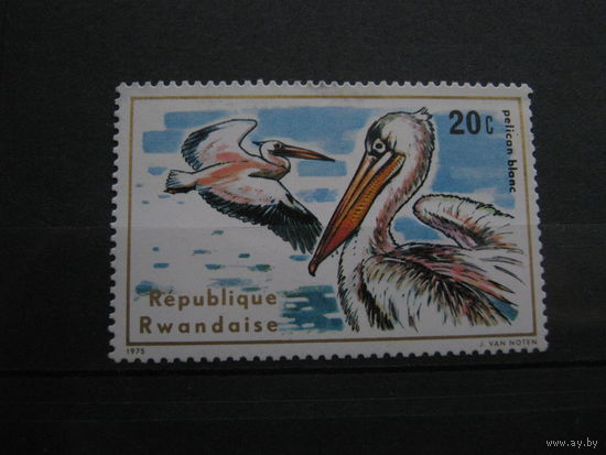 Марка - фауна, птицы, пеликаны, Руанда, 1975