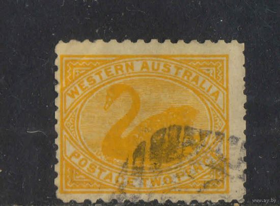 GB Колонии Австралия Западная 1903 Черный лебедь Стандарт #50С
