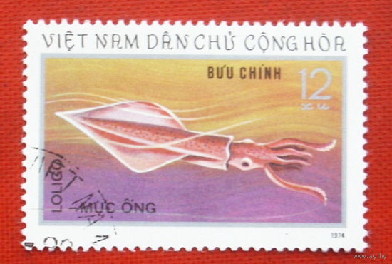 Вьетнам. Морские обитатели. ( 1 марка ) 1974 года. 9-19.