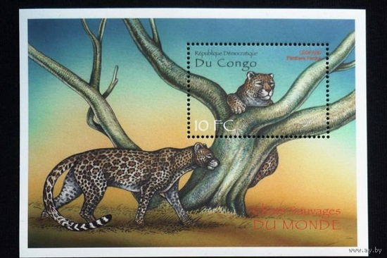 Конго Фауна Хищники Леопарды  MNH