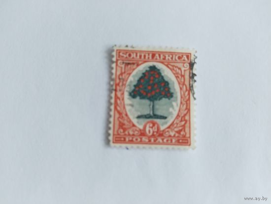 ЮАР  1933- апельс.дерево