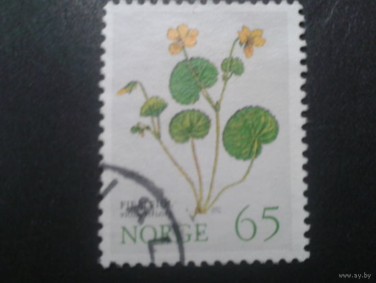 Норвегия 1973 цветы