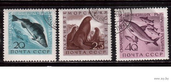 СССР-1960, (Заг.2382-2384), гаш., Морская фауна