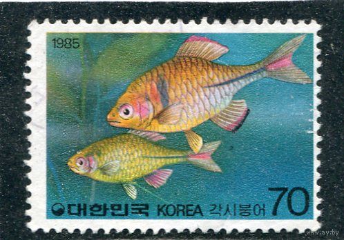Корея южная. Рыбы