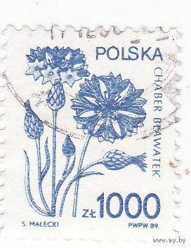 Синий цветок кукурузы 1989 год