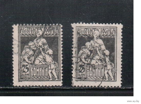 Румыния-1921-1928(Мих.10,11)   гаш. ,  Налоговые марки , без ВЗ  и с ВЗ