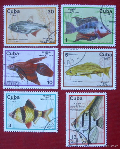 Куба. Рыбы. ( 6 марок ) 1977 года.
