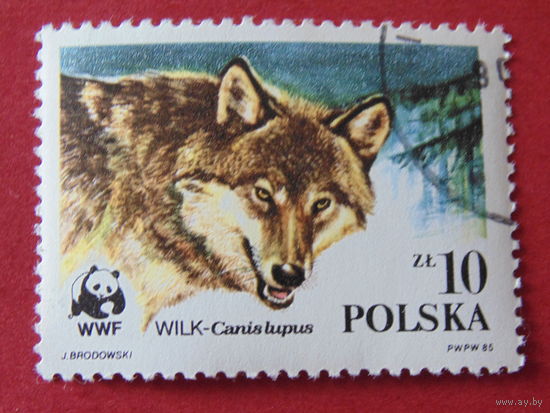 Польша 1985 г. Фауна.