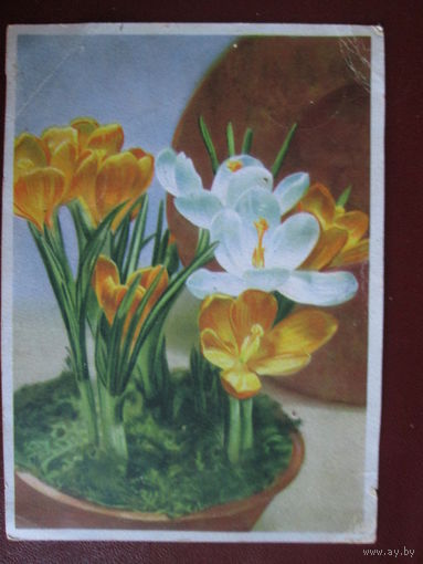 Почтовая открытка.1946гГермания.Полевая почта.Военная цензура.