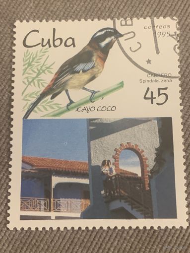 Куба 1995. Птицы. Xayo Coco