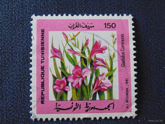 Тунис 1987 г. Цветы.