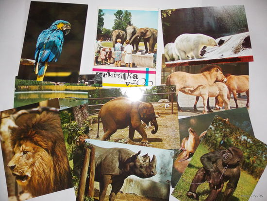 Набор открыток Зоопарк, зарубежные