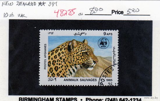 Афганистан. Леопард. 1985.