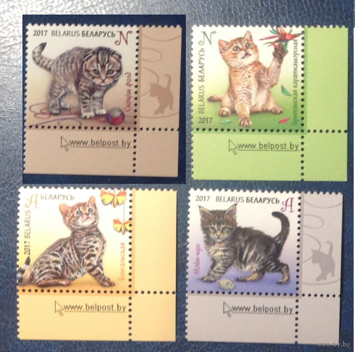 Беларусь 2017 Котята Фауна MNH  серия угол