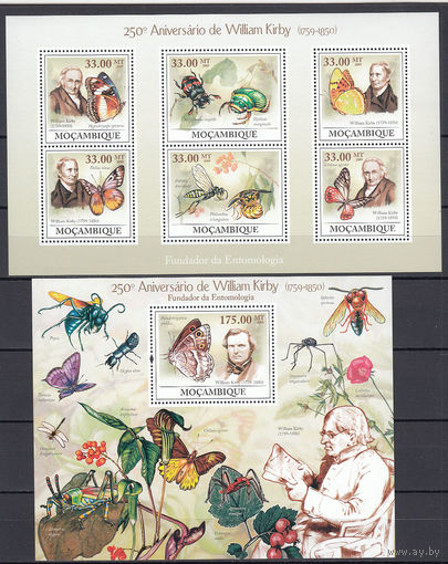 Фауна. Бабочки и насекомые. Мозамбик. 2009. 1 малый лист и 1 блок (полная серия). Michel N 3399-3404, бл279 (20,0 е).