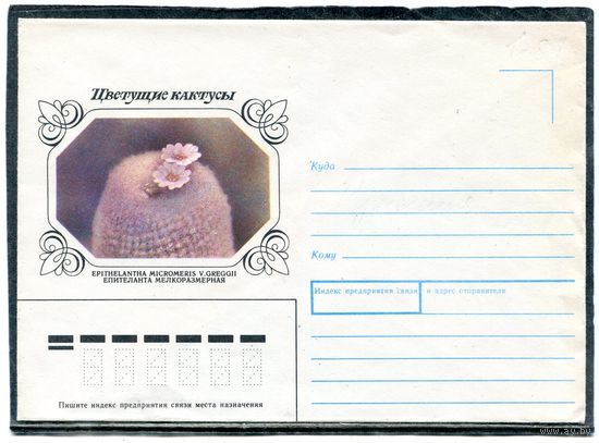 СССР 1990 (1983). Не маркированный конверт. Кактус Епителанта