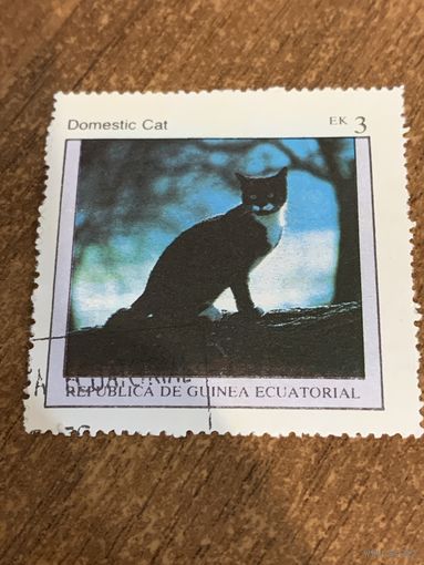 Экваториальная Гвинея 1976. Домашние кошки. Domestic cat. Марка из серии