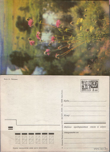Почтовая карточка " Цветы"