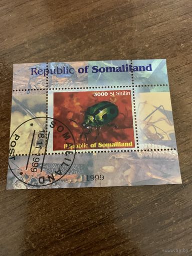 Сомали 1999. Жуки. Блок