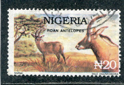 Нигерия. Фауна. Лошадиная антилопа